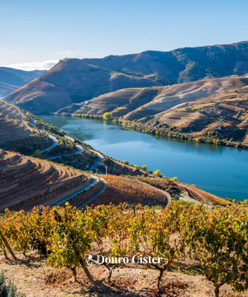 Douro Cister Hotel Resort Ucanha エクステリア 写真