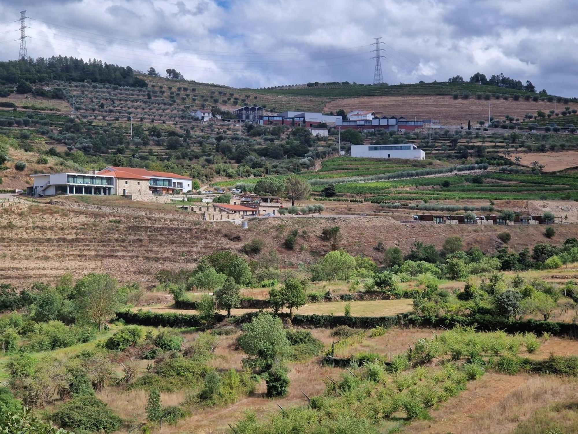 Douro Cister Hotel Resort Ucanha エクステリア 写真